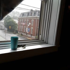 Meet your Posher, Gary